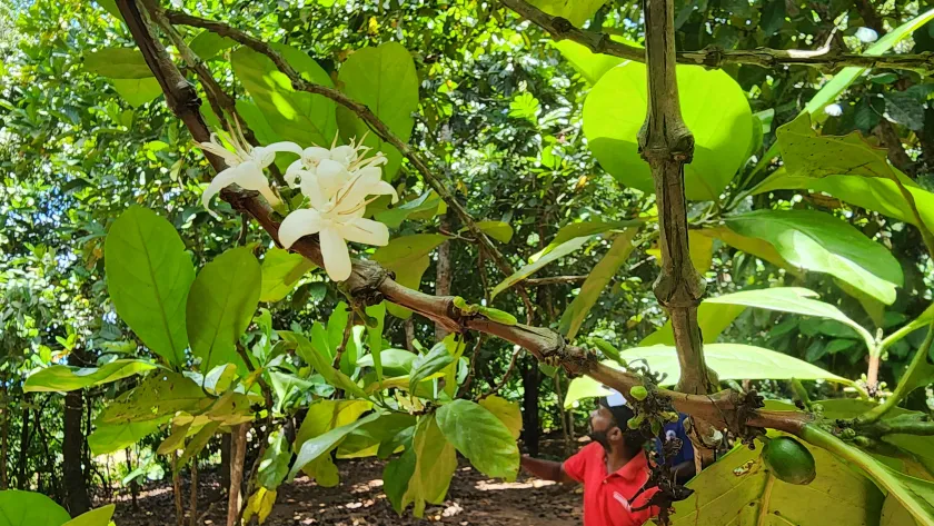 Wycieczka 3 w jednym – całodniowa